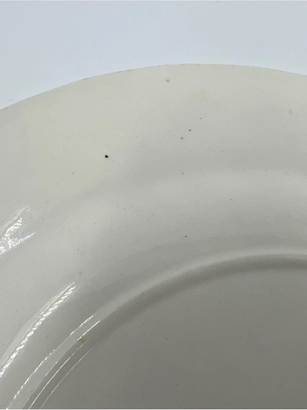 Myott Finlandia Blue White Floral Dinner Plate 10